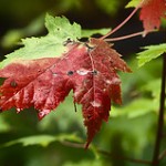 Change: The Only Constant In Life