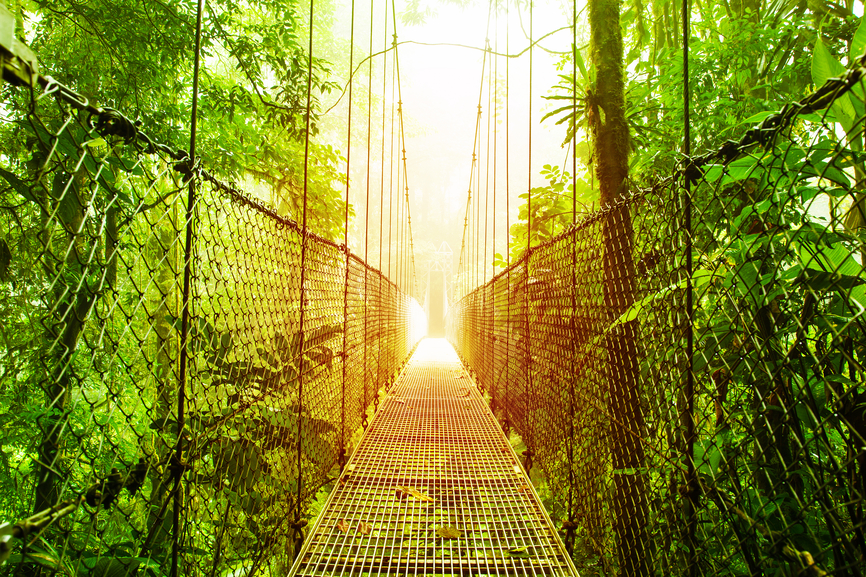 Arenal Hanging Bridges park of Costa Rica