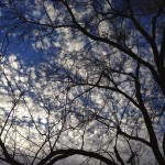 Revisiting Gratitude