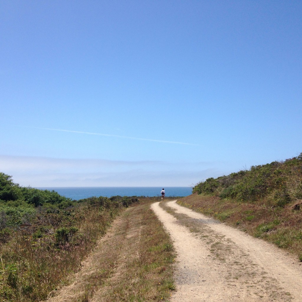 Coast Trail, Point Reyes, CA