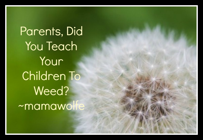 did you teach your children to weed