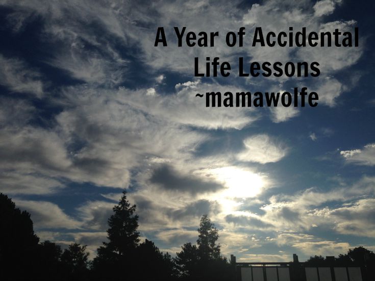 A Year of Accidental Life Lessons