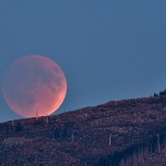 Moments Like This Come Around Only Once In A Super Moon