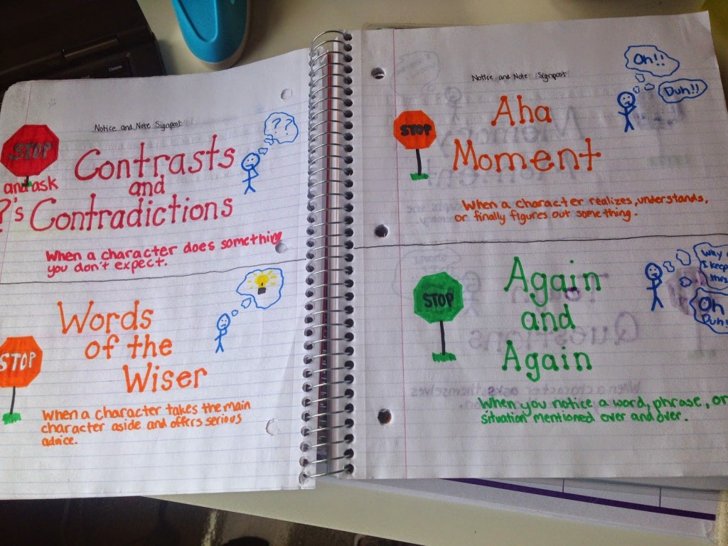 interactive notebooks