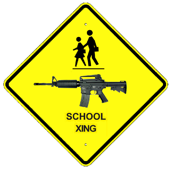 schools and guns