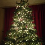 In The Holiday Spirit