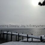 Joy Is Everywhere