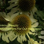 The Conditions For Our Happiness 