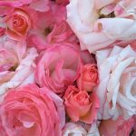 Turning 50: My Transformation Into Wholeness