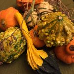 Finding The Extraordinary In The Ordinary October Moments