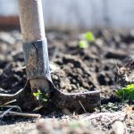 gardening shovel