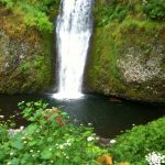Let Me Be Poetry Celebrating Summer Solstice waterfall