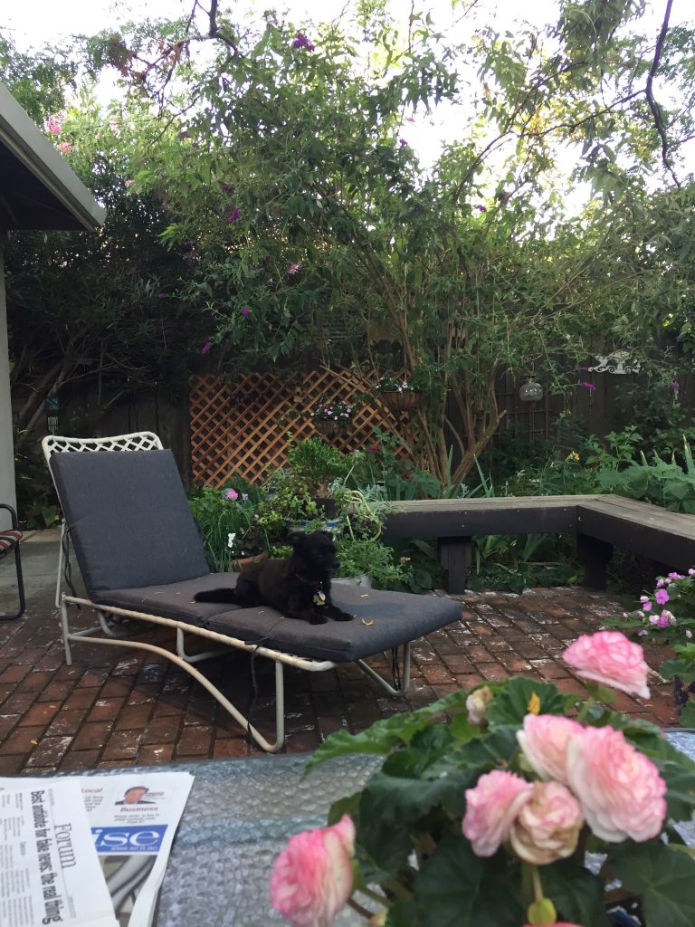 make your garden your sanctuary lounge