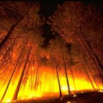 wildfires