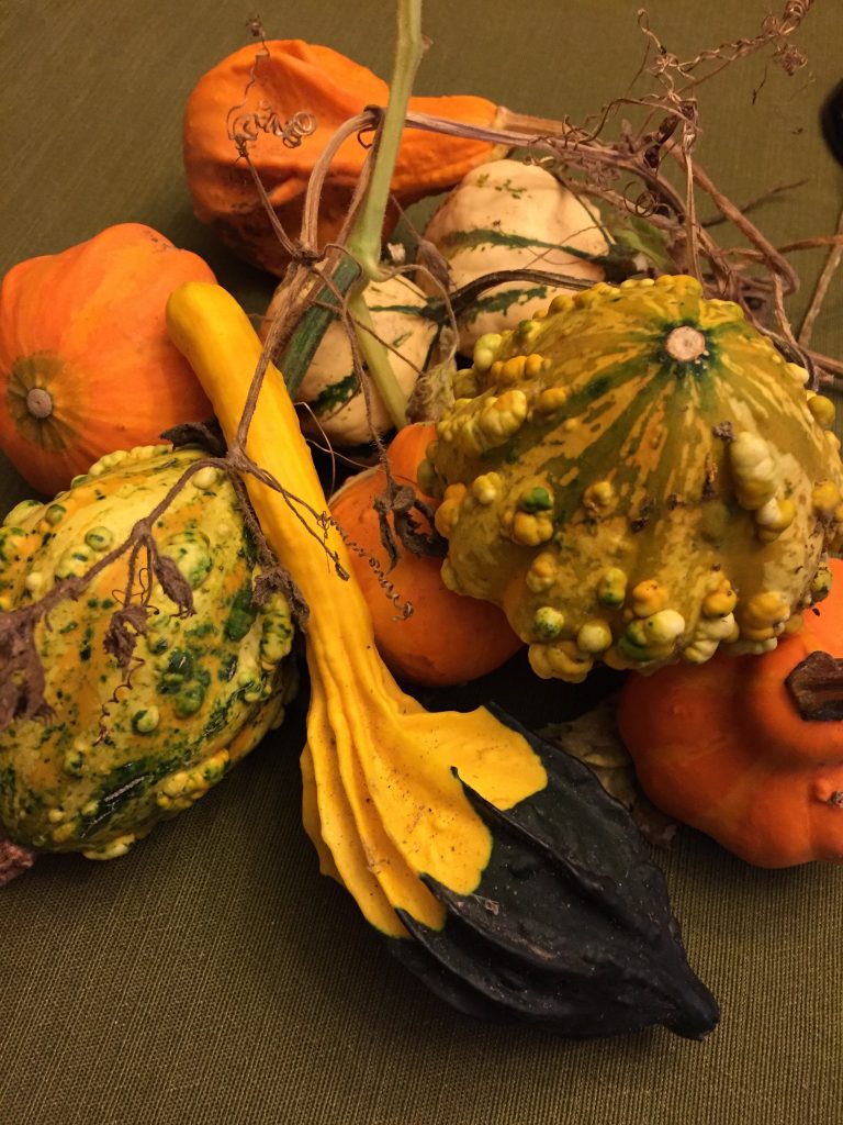 Inside The Mind of a Teacher-Mom: Poetry by Kaveri Patel pumpkin