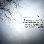 soar