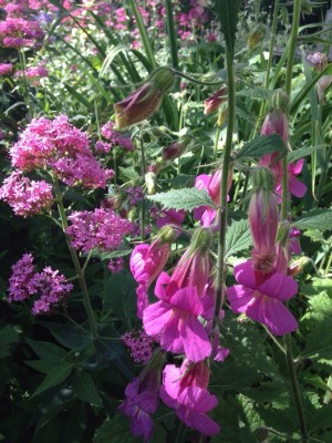 garden bells