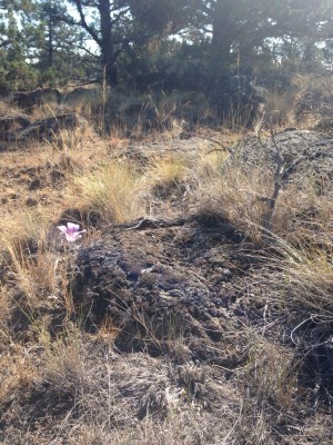 near the Deschutes River, Oregon