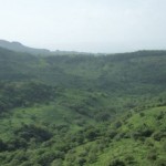The Pull of Nicaragua