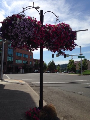 Love the flowers in Downtown Bend, Oregon