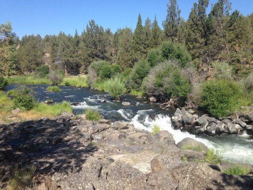 river view of swimming hole, Deschutes River, Oregon