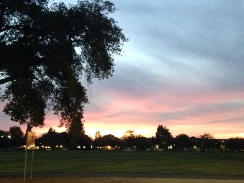Sunset over UC Davis